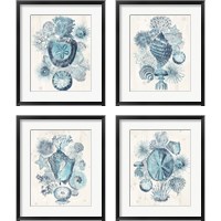 Framed Coastal Melange 4 Piece Framed Art Print Set