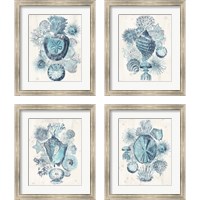 Framed Coastal Melange 4 Piece Framed Art Print Set