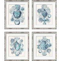 Framed 'Coastal Melange 4 Piece Framed Art Print Set' border=