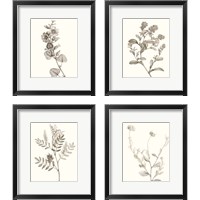 Framed Neutral Botanical Study 4 Piece Framed Art Print Set