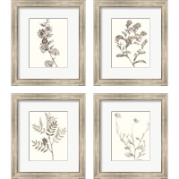 Framed Neutral Botanical Study 4 Piece Framed Art Print Set