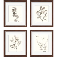 Framed Neutral Botanical Study 4 Piece Framed Art Print Set