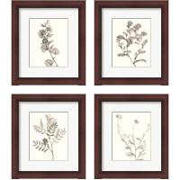 Framed 'Neutral Botanical Study 4 Piece Framed Art Print Set' border=