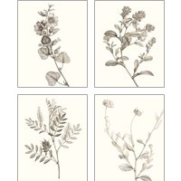 Framed 'Neutral Botanical Study 4 Piece Art Print Set' border=