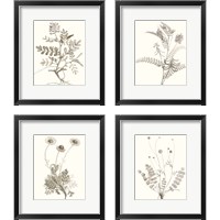 Framed 'Neutral Botanical Study 4 Piece Framed Art Print Set' border=