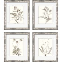 Framed 'Neutral Botanical Study 4 Piece Framed Art Print Set' border=