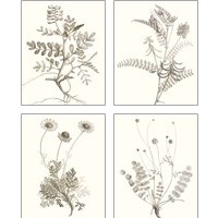Framed Neutral Botanical Study 4 Piece Art Print Set