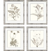Framed 'Neutral Botanical Study 4 Piece Framed Art Print Set' border=