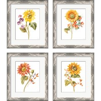 Framed 'Floursack Autumn on White 4 Piece Framed Art Print Set' border=