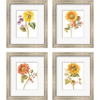 Framed Floursack Autumn on White 4 Piece Framed Art Print Set