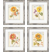 Framed 'Floursack Autumn 4 Piece Framed Art Print Set' border=