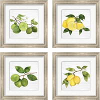 Framed Citrus Garden Shiplap 4 Piece Framed Art Print Set