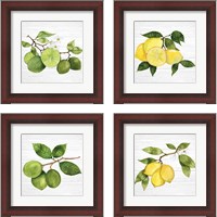 Framed 'Citrus Garden Shiplap 4 Piece Framed Art Print Set' border=