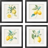 Framed 'Floursack Lemons Sq Navy 4 Piece Framed Art Print Set' border=