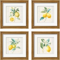 Framed 'Floursack Lemons Sq Navy 4 Piece Framed Art Print Set' border=