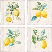 Framed 'Floursack Lemons Sq Navy 4 Piece Art Print Set' border=