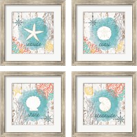 Framed 'Beach Shell 4 Piece Framed Art Print Set' border=