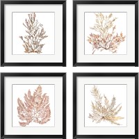 Framed Pacific Sea Mosses 4 Piece Framed Art Print Set