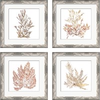 Framed 'Pacific Sea Mosses 4 Piece Framed Art Print Set' border=