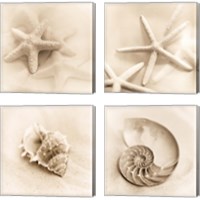 Framed 'Il Oceano 4 Piece Canvas Print Set' border=