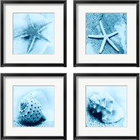 Framed Nautica 4 Piece Framed Art Print Set