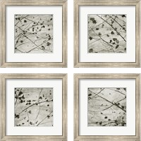 Framed 'Laced Sky 4 Piece Framed Art Print Set' border=