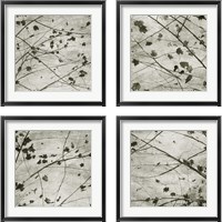 Framed 'Laced Sky 4 Piece Framed Art Print Set' border=