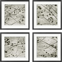 Framed 'Laced Sky 4 Piece Framed Art Print Set' border=