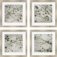 Framed 'Laced Sky 4 Piece Framed Art Print Set' border=