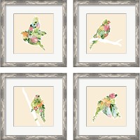 Framed 'Foliage & Feathers 4 Piece Framed Art Print Set' border=
