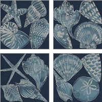 Framed Marine Shells 4 Piece Art Print Set