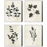 Framed 'Botanical Study 4 Piece Canvas Print Set' border=