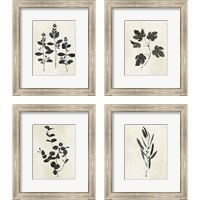 Framed 'Botanical Study 4 Piece Framed Art Print Set' border=