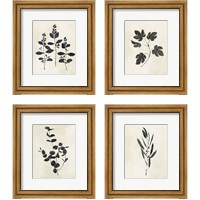 Framed 'Botanical Study 4 Piece Framed Art Print Set' border=