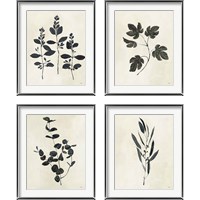 Framed 'Botanical Study 4 Piece Framed Art Print Set' border=