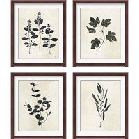 Framed 'Botanical Study 4 Piece Framed Art Print Set' border=