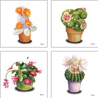 Framed 'Cactus Flowers 4 Piece Art Print Set' border=