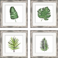 Framed 'Leaves of the Tropics  4 Piece Framed Art Print Set' border=