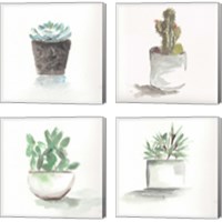 Framed 'Watercolor Cactus Still Life 4 Piece Canvas Print Set' border=