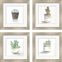 Framed 'Watercolor Cactus Still Life 4 Piece Framed Art Print Set' border=