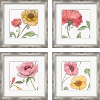 Framed 'Blossom Sketches Color 4 Piece Framed Art Print Set' border=