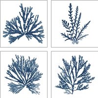 Framed 'Pacific Sea Mosses Blue on White 4 Piece Art Print Set' border=