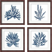 Framed 'Pacific Sea Mosses Blue on White 4 Piece Framed Art Print Set' border=