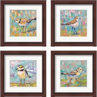 Framed 'Coastal Plover 4 Piece Framed Art Print Set' border=