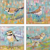 Framed 'Coastal Plover 4 Piece Art Print Set' border=