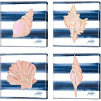 Framed 'Nautical Shell 4 Piece Canvas Print Set' border=