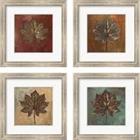 Framed Maple  4 Piece Framed Art Print Set