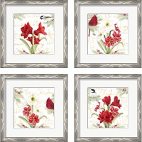 Framed Merry Amaryllis 4 Piece Framed Art Print Set