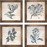 Framed 'Petals on Planks 4 Piece Art Print Set' border=