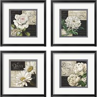 Framed 'Flowers on B&W 4 Piece Framed Art Print Set' border=